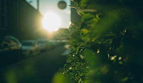 Et grønt og bærekraftig samfunn for oss alle Et grønt og bærekraftig samfunn for oss alle