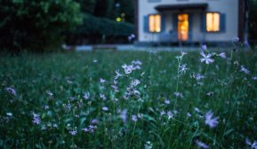 Blomstereng foran enebolig i landlig strøk