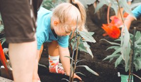 Barn som planter i jord