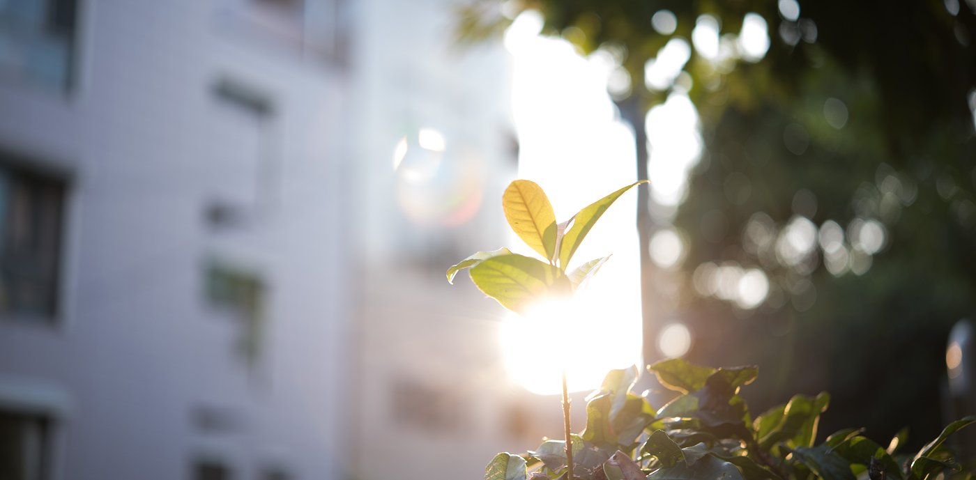 Vi bygger bærekraft