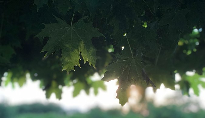 Bærekraft og miljø Bærekraft og miljø