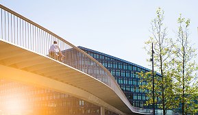 iStock-1250321267_Creditjonathanfilskov_photography