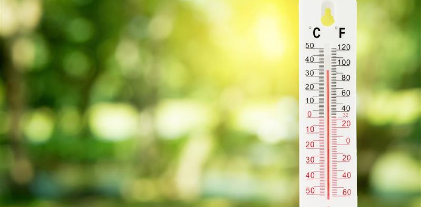 Termometer på en grønn uskarp naturbakgrunn.